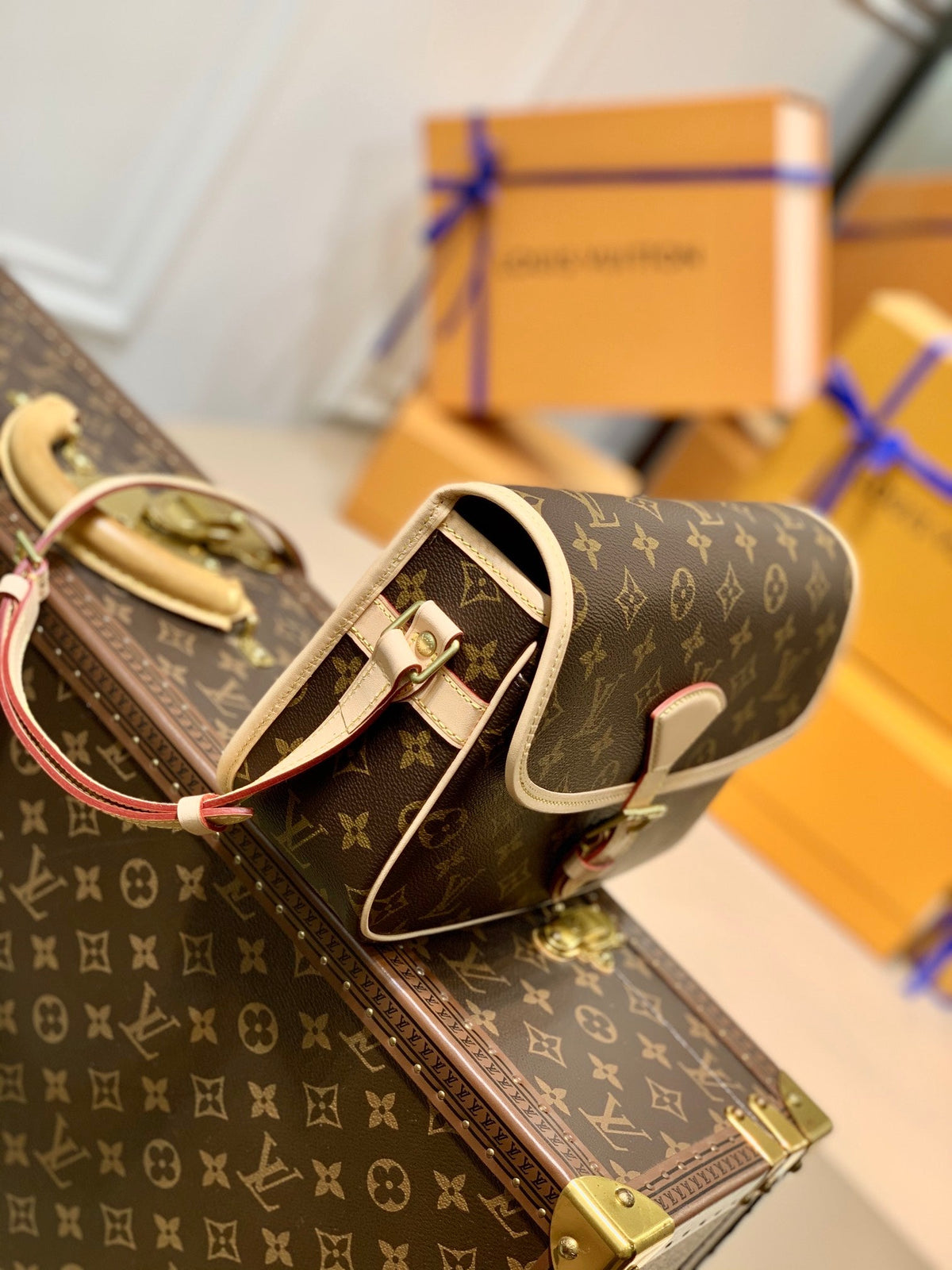 Louis Vuitton Diane 27 in Brown Monogram Coated Canvas and Calfskin Bag