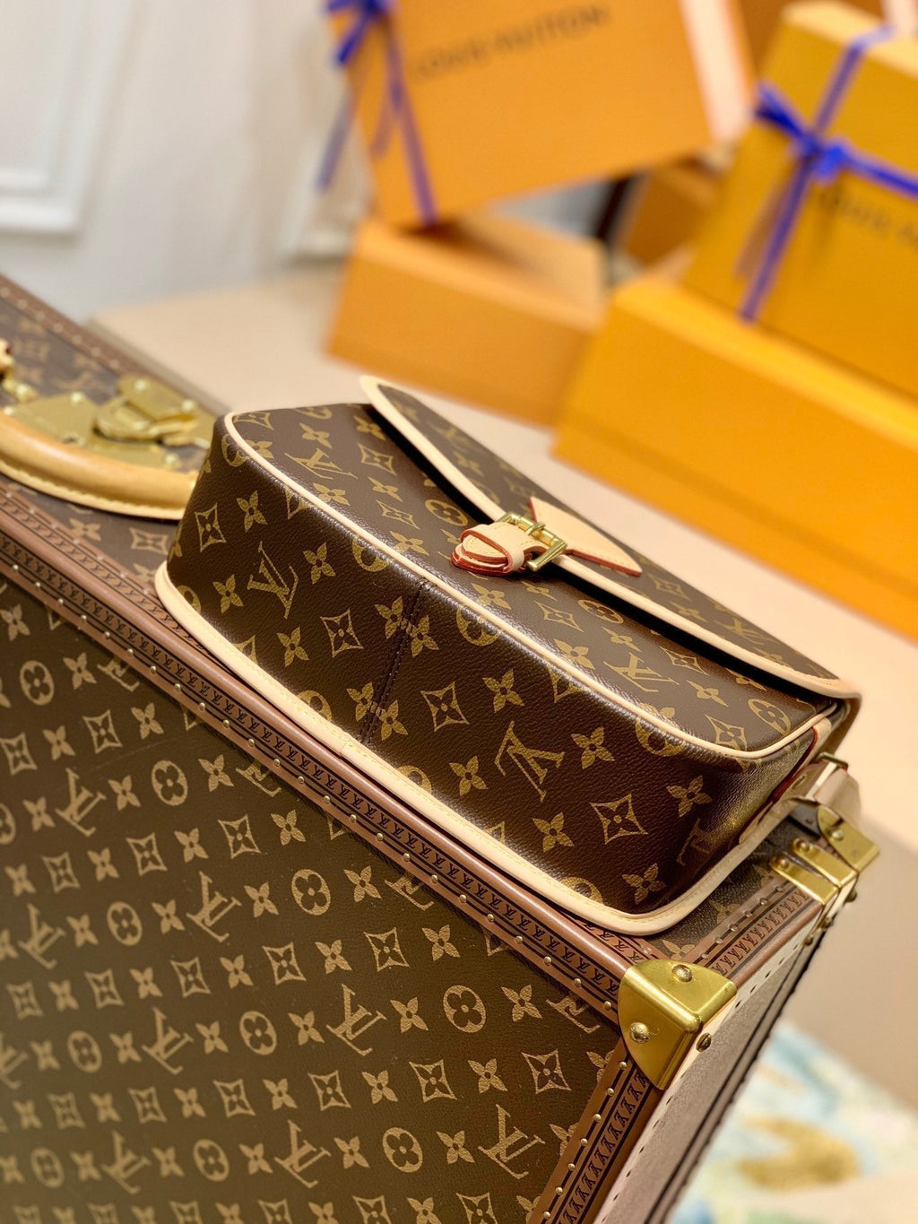 Louis Vuitton Diane 27 in Brown Monogram Coated Canvas and Calfskin Bag