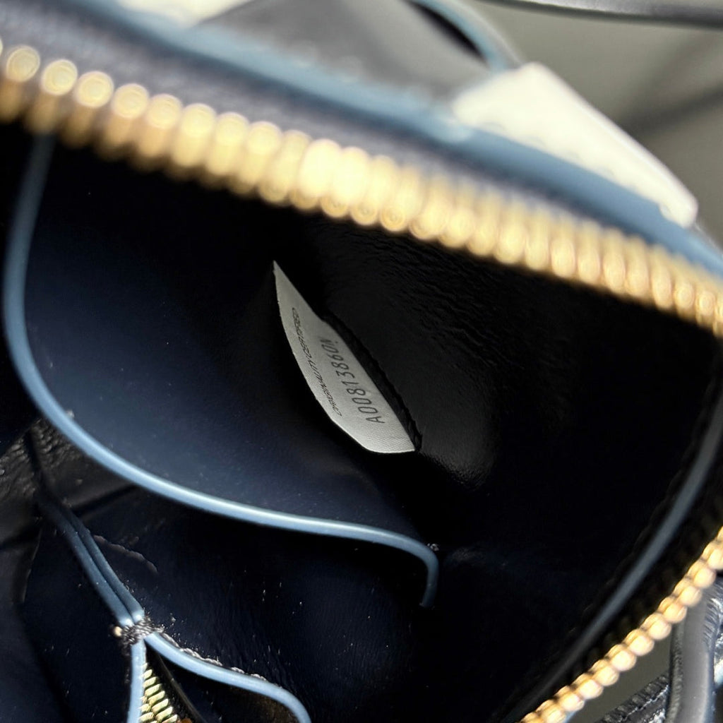 Bottega Veneta 25S Concert Pouch 18 in Zebra Pattern Calfskin Gold Hardware